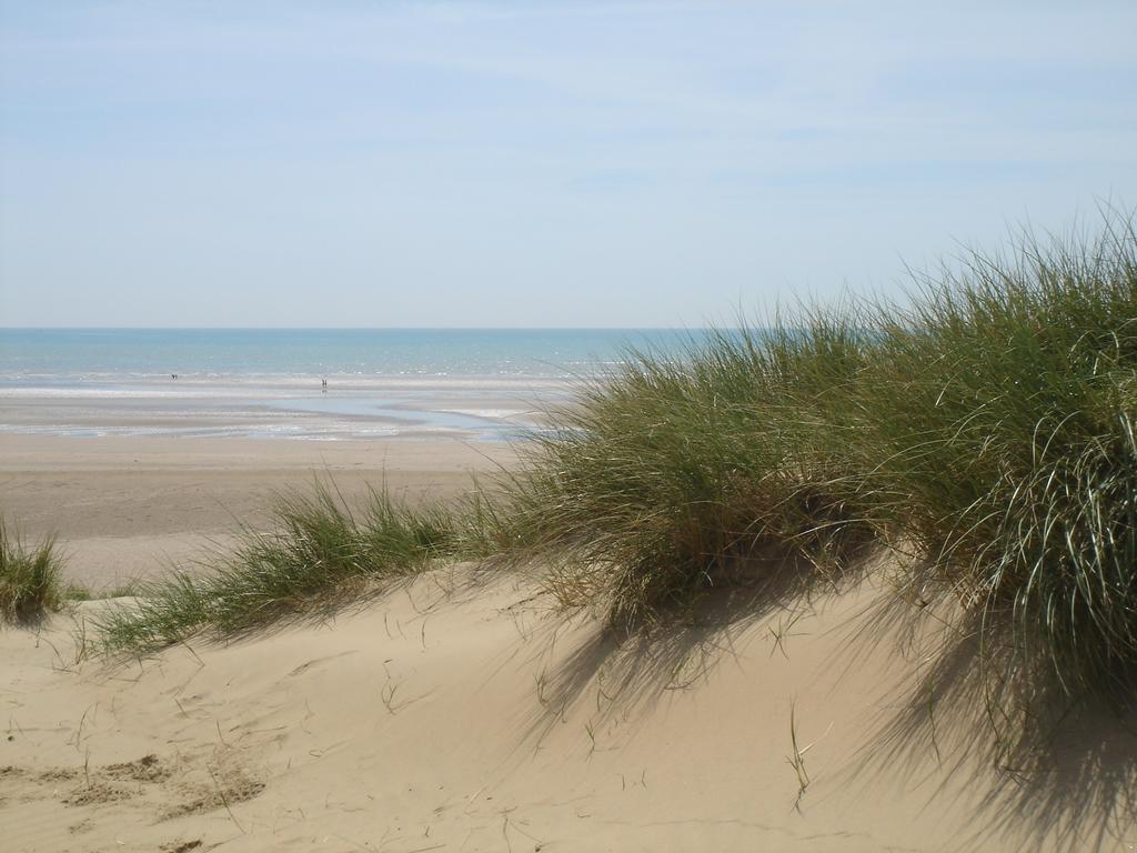 The Salty Dog Holiday Cottage, Camber Sands ライ エクステリア 写真